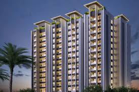 Habulus Oasis Grove
